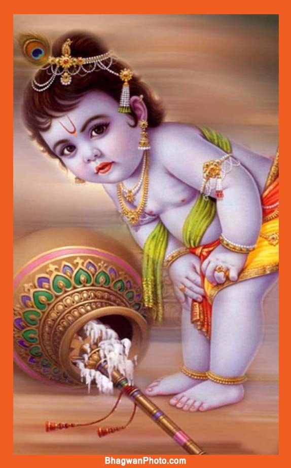 *यादव समाज प्रतिवर्षानुसार इस वर्ष भी मनाएगी जन्माष्टमी उत्सव*