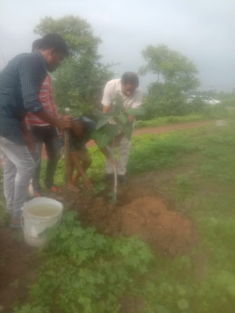 *अपेक्स बैंक के चेयरमैन बैजनाथ चंद्राकर ने किया वृक्षारोपण.. वृक्षों के संरक्षण का दिया संदेश*..