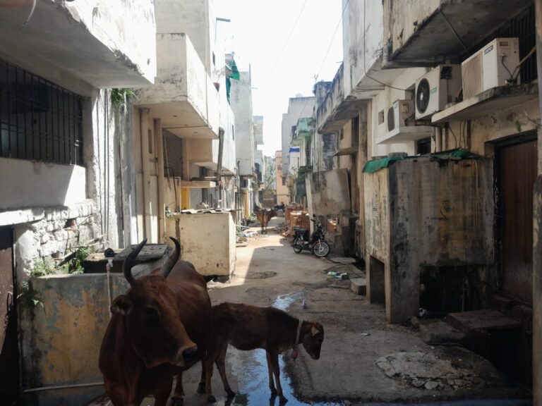 *उठ रही वार्ड नंबर 20 सिंधी कॉलोनी में स्ट्रीट लाइट व जूनो लाइट लगाने की मांग* ।