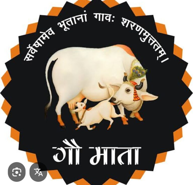 *23 वर्षों से घायल गौमाताओं की सेवा कर रही समिति ने उठाई पाँच माँगें, जल्द समाधान नहीं हुआ तो होगी दण्डवत पदयात्रा*!